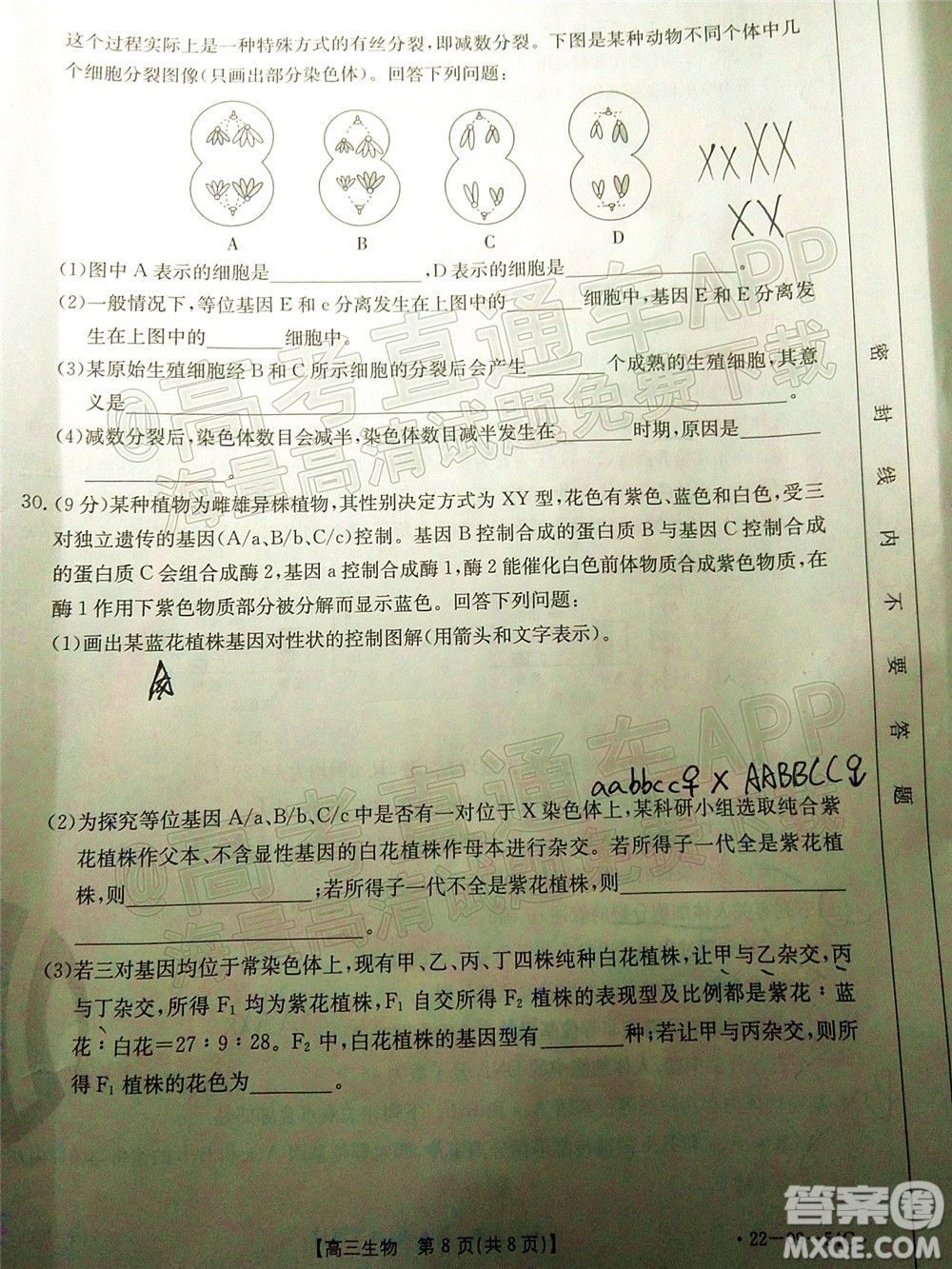 2022屆內(nèi)蒙古金太陽高三10月聯(lián)考生物試題及答案