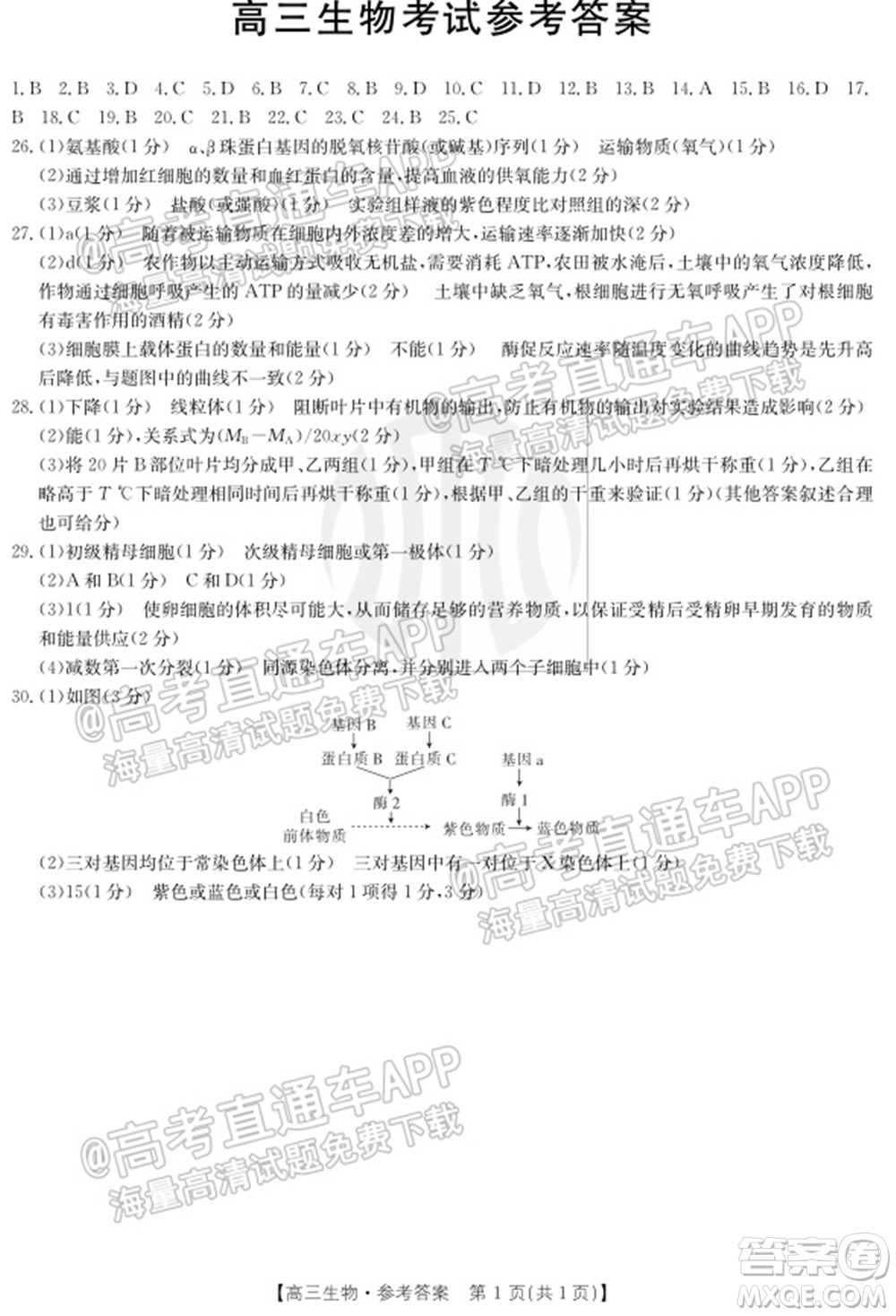 2022屆內(nèi)蒙古金太陽高三10月聯(lián)考生物試題及答案