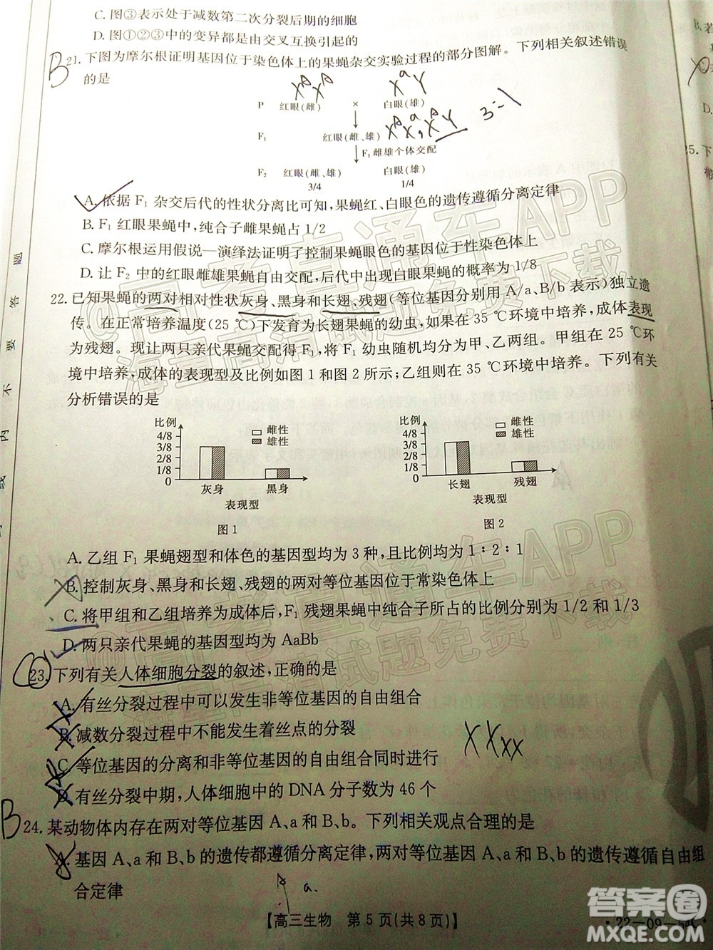 2022屆內(nèi)蒙古金太陽高三10月聯(lián)考生物試題及答案