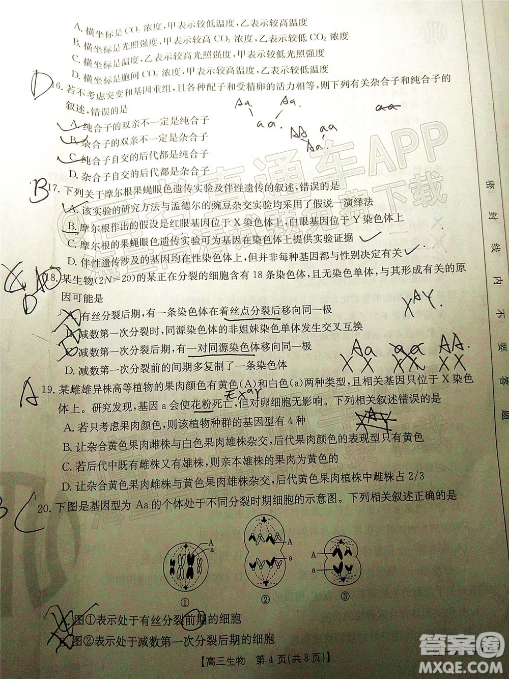 2022屆內(nèi)蒙古金太陽高三10月聯(lián)考生物試題及答案