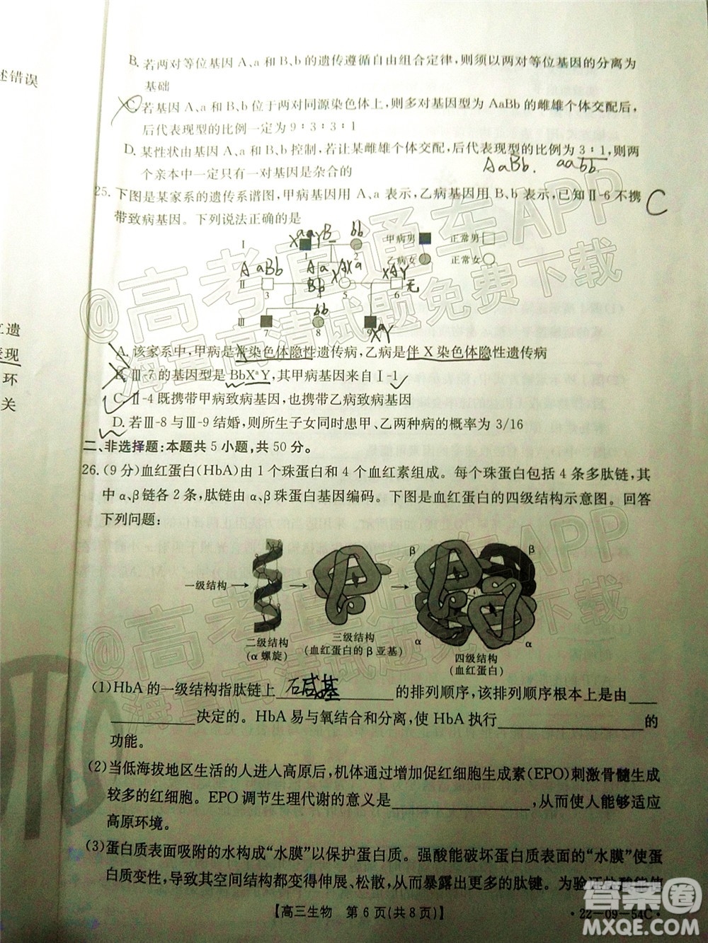 2022屆內(nèi)蒙古金太陽高三10月聯(lián)考生物試題及答案