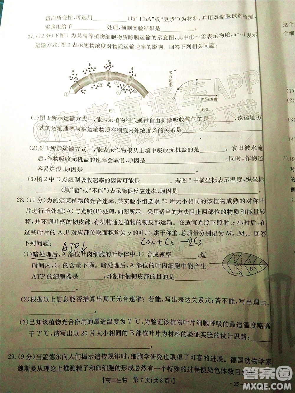 2022屆內(nèi)蒙古金太陽高三10月聯(lián)考生物試題及答案