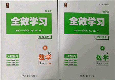 光明日報出版社2021全效學(xué)習(xí)課時提優(yōu)八年級上冊數(shù)學(xué)浙教版精華版參考答案
