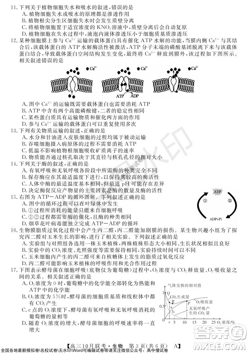 河南省名校聯(lián)盟2021-2022學年高三上學期10月聯(lián)考生物試題及答案