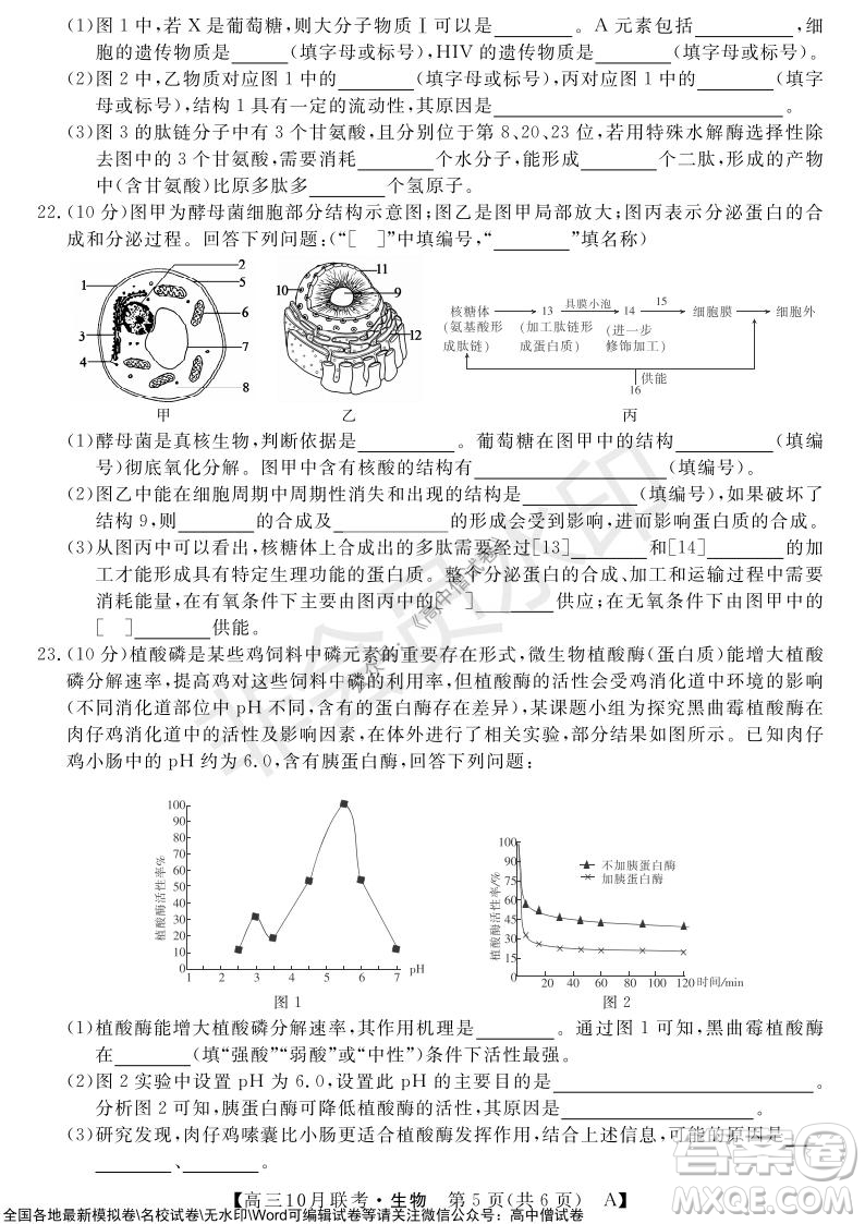 河南省名校聯(lián)盟2021-2022學年高三上學期10月聯(lián)考生物試題及答案