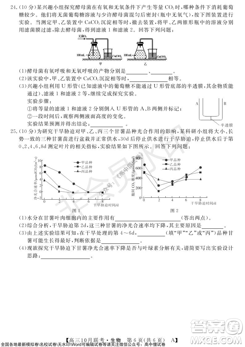 河南省名校聯(lián)盟2021-2022學年高三上學期10月聯(lián)考生物試題及答案