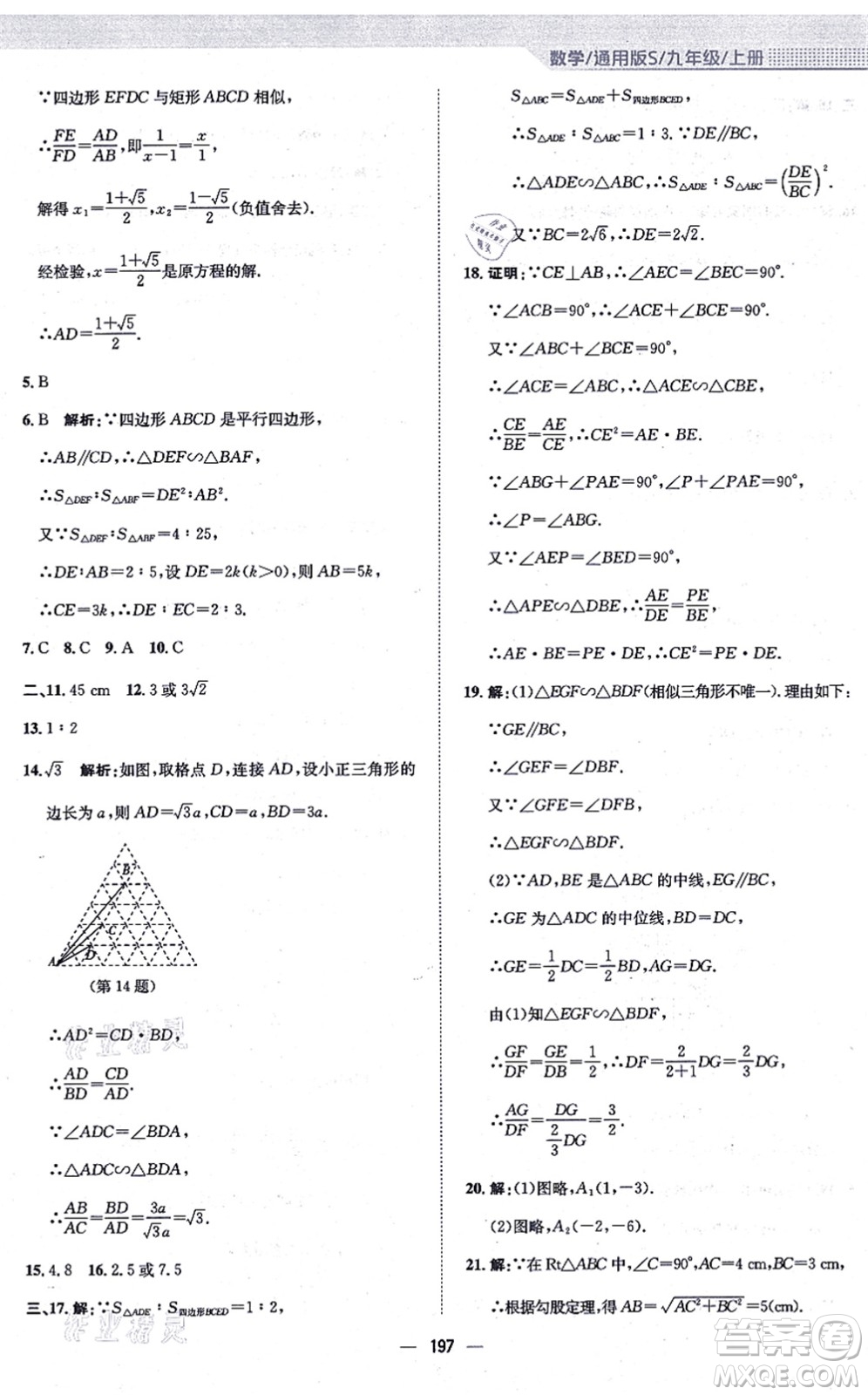 安徽教育出版社2021新編基礎(chǔ)訓(xùn)練九年級(jí)數(shù)學(xué)上冊(cè)通用版S答案
