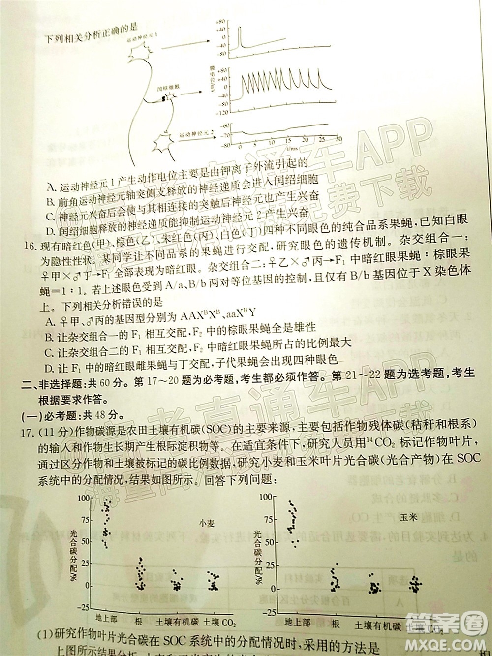 湛江市2022屆高中畢業(yè)班調(diào)研測(cè)試生物試題及答案