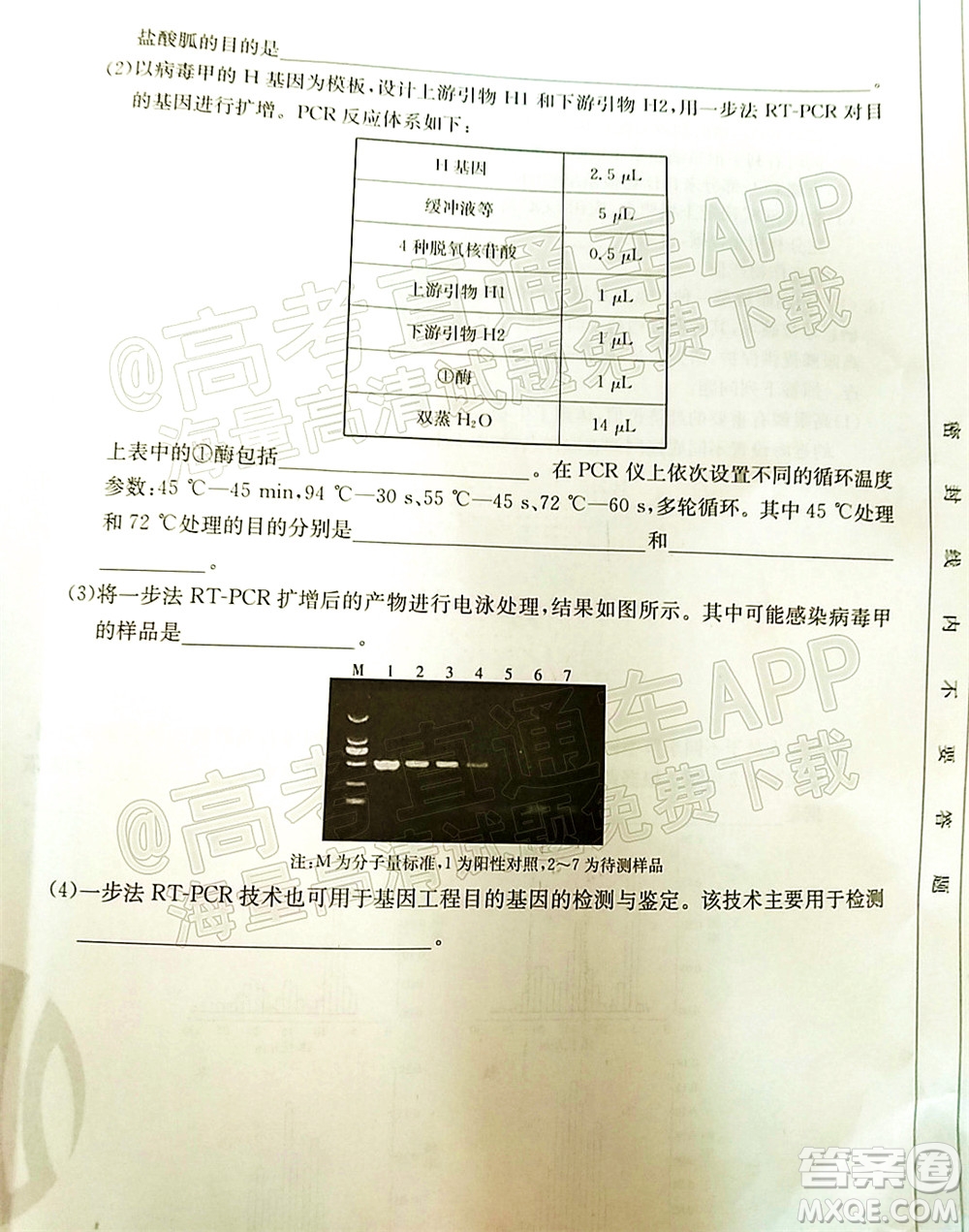 湛江市2022屆高中畢業(yè)班調(diào)研測(cè)試生物試題及答案
