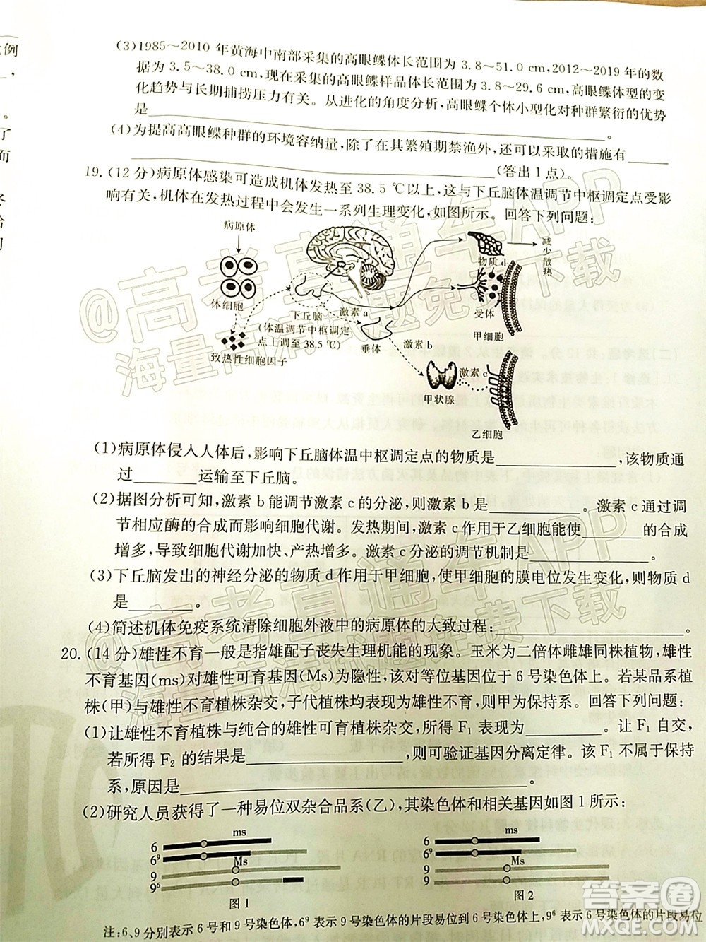 湛江市2022屆高中畢業(yè)班調(diào)研測(cè)試生物試題及答案