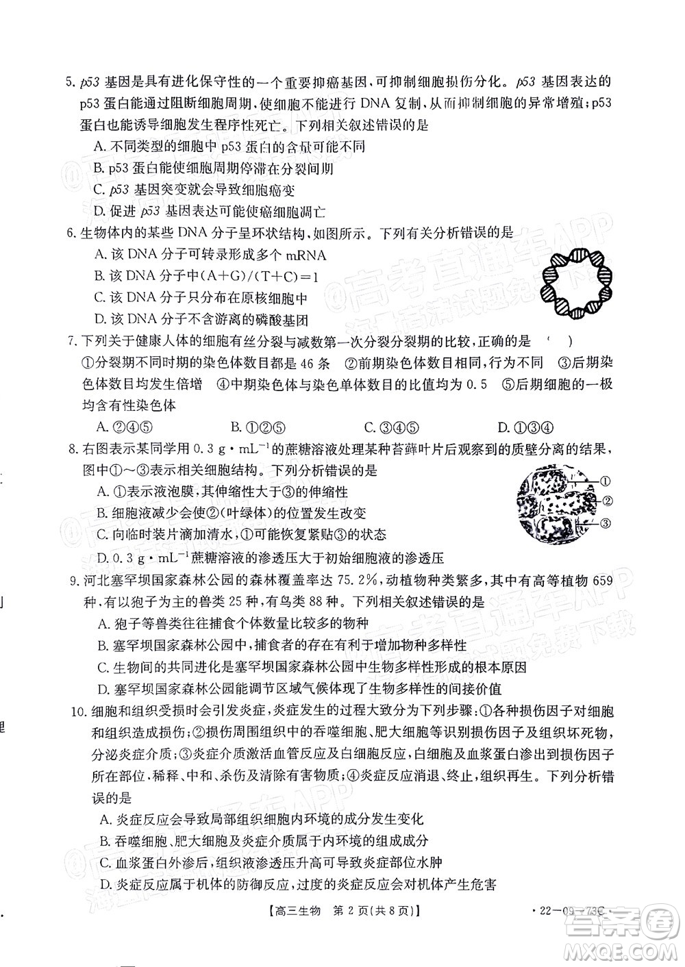 2022屆廣東金太陽高三10月聯(lián)考生物試題及答案