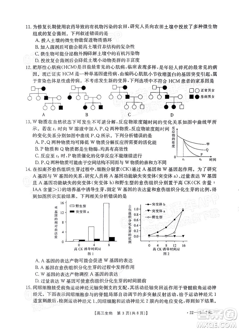 2022屆廣東金太陽高三10月聯(lián)考生物試題及答案