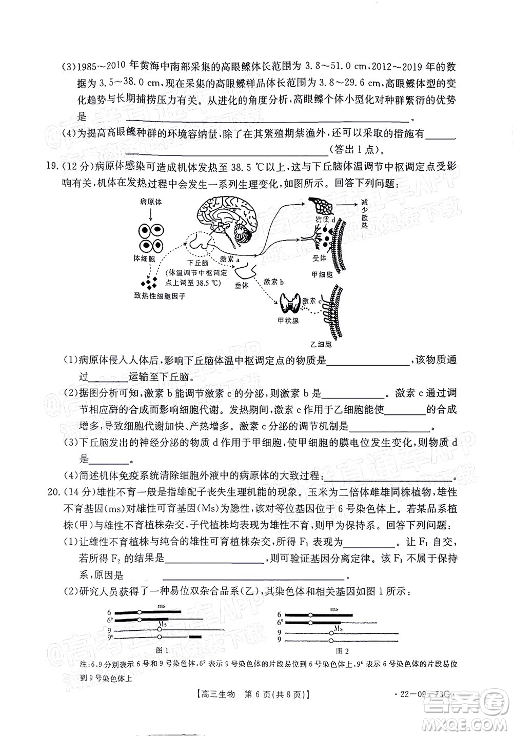 2022屆廣東金太陽高三10月聯(lián)考生物試題及答案