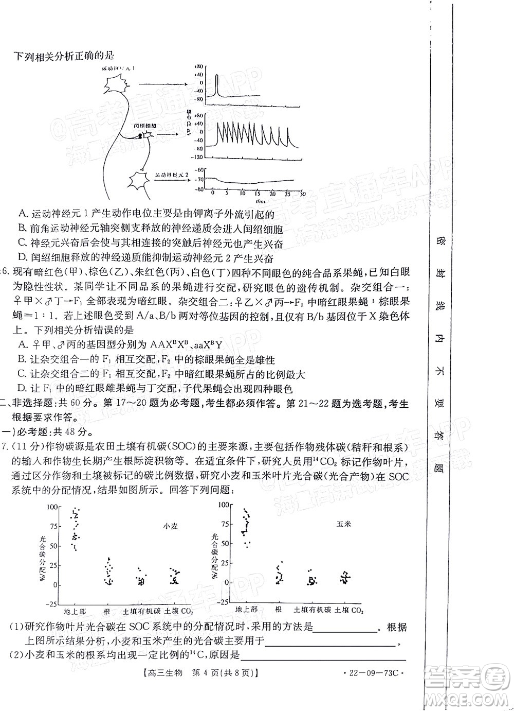 2022屆廣東金太陽高三10月聯(lián)考生物試題及答案