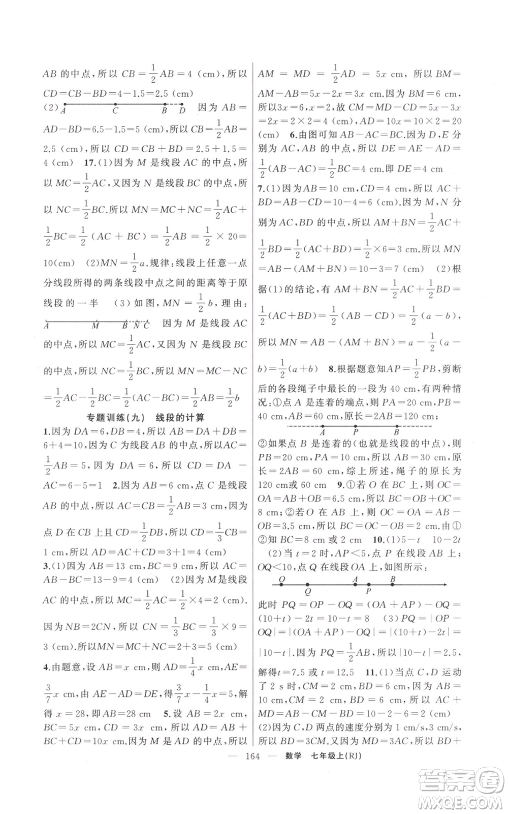 新疆青少年出版社2021四清導(dǎo)航七年級(jí)上冊(cè)數(shù)學(xué)人教版河南專(zhuān)版參考答案
