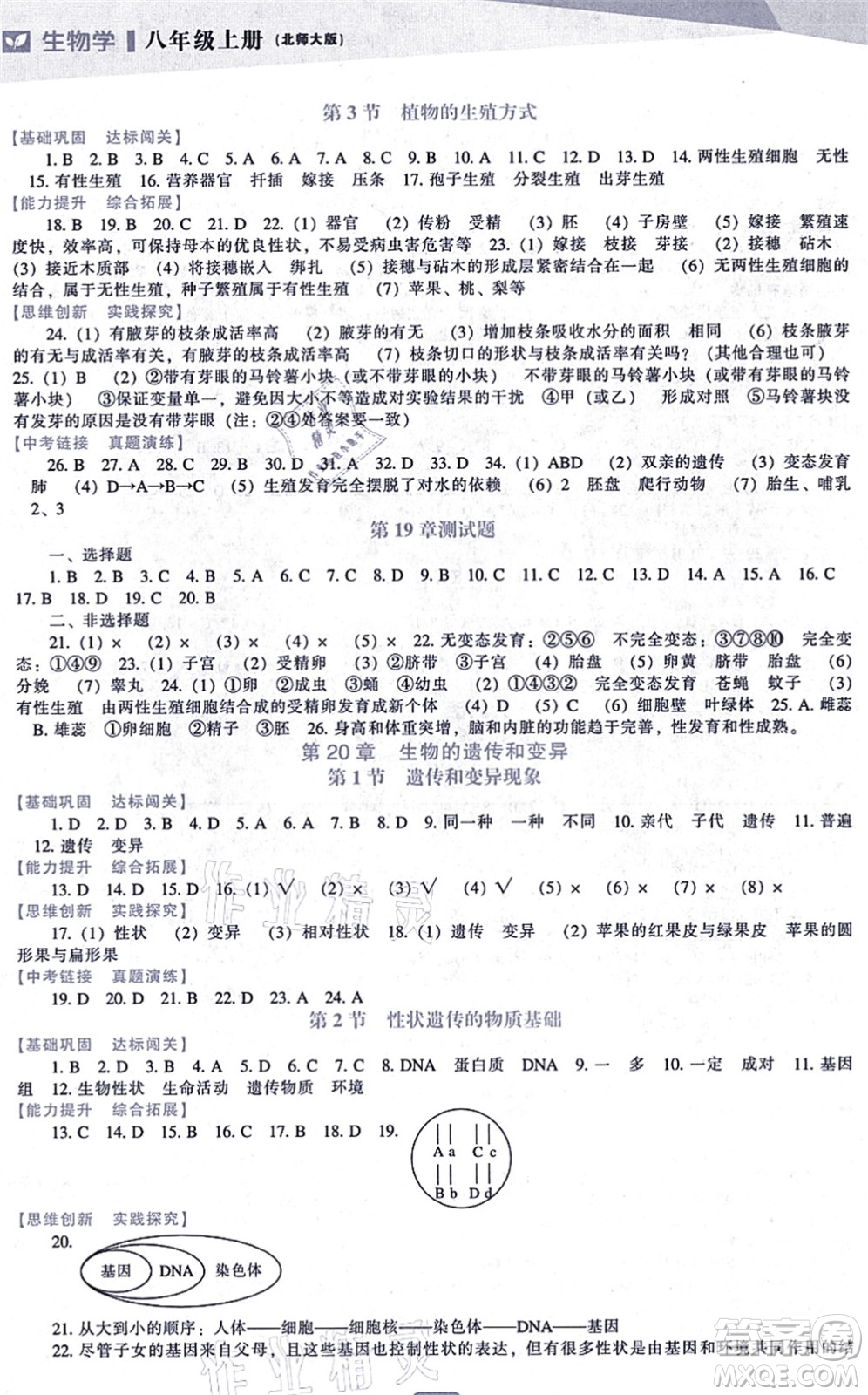 遼海出版社2021新課程生物能力培養(yǎng)八年級上冊北師大版答案
