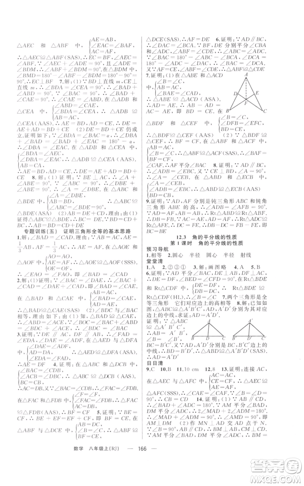 新疆青少年出版社2021四清導航八年級上冊數(shù)學人教版河南專版參考答案