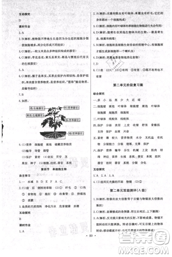 崇文書(shū)局社2021長(zhǎng)江全能學(xué)案同步練習(xí)冊(cè)生物學(xué)七年級(jí)上冊(cè)人教版答案
