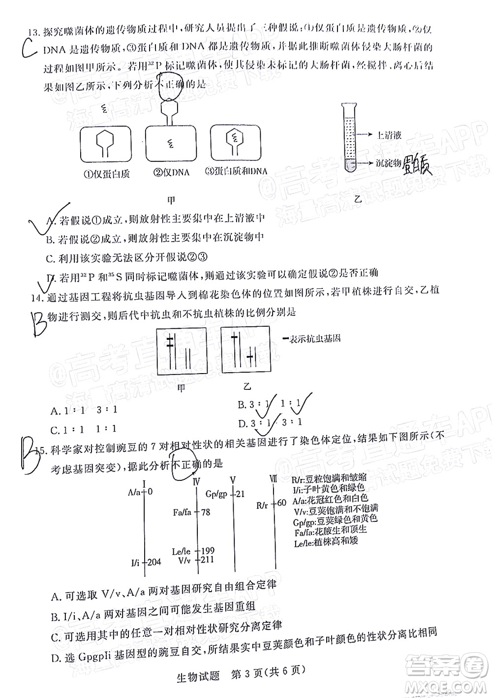 肇慶市2022屆高中畢業(yè)班第一次統(tǒng)一檢測生物試題及答案