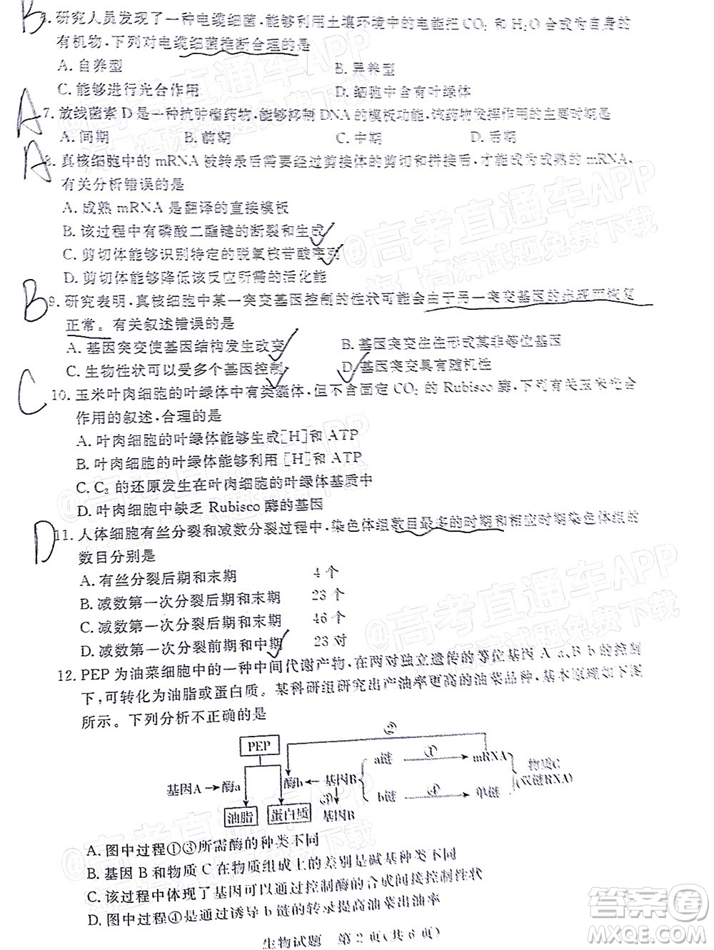肇慶市2022屆高中畢業(yè)班第一次統(tǒng)一檢測生物試題及答案
