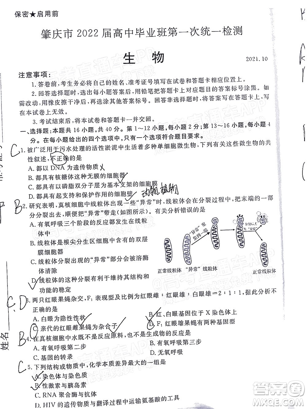 肇慶市2022屆高中畢業(yè)班第一次統(tǒng)一檢測生物試題及答案
