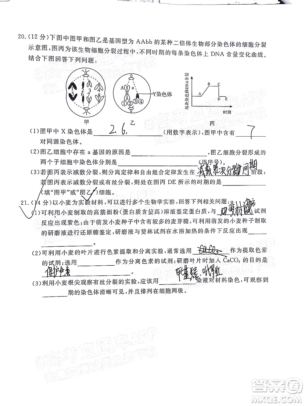 肇慶市2022屆高中畢業(yè)班第一次統(tǒng)一檢測生物試題及答案