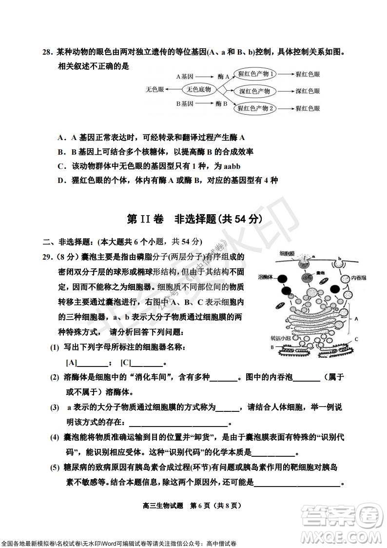 吉林市普通中學(xué)2021-2022學(xué)年度高中畢業(yè)班第一次調(diào)研測(cè)試生物試題及答案