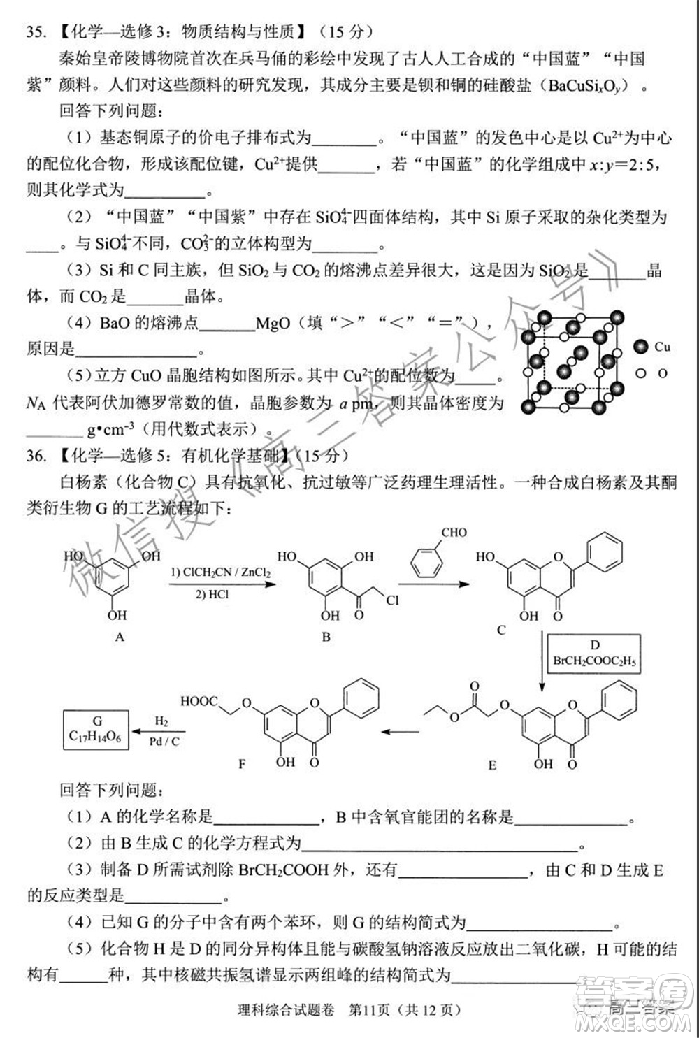 綿陽市高中2019級第一次診斷性考試理科綜合試題及答案