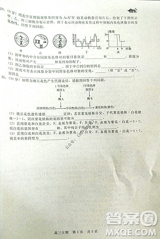 陜西十校聯(lián)考2021-2022學(xué)年第一學(xué)期高三階段測(cè)試卷生物全國(guó)卷試題及答案
