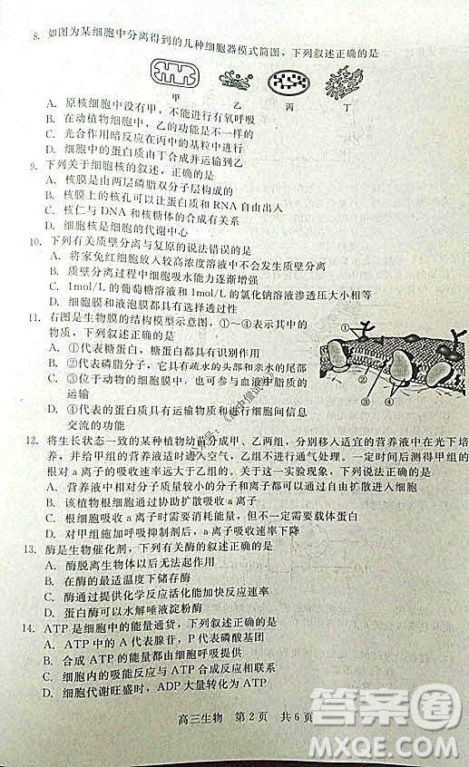 陜西十校聯(lián)考2021-2022學(xué)年第一學(xué)期高三階段測(cè)試卷生物全國(guó)卷試題及答案
