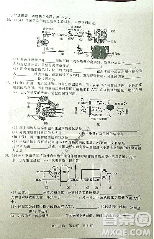 陜西十校聯(lián)考2021-2022學(xué)年第一學(xué)期高三階段測(cè)試卷生物全國(guó)卷試題及答案