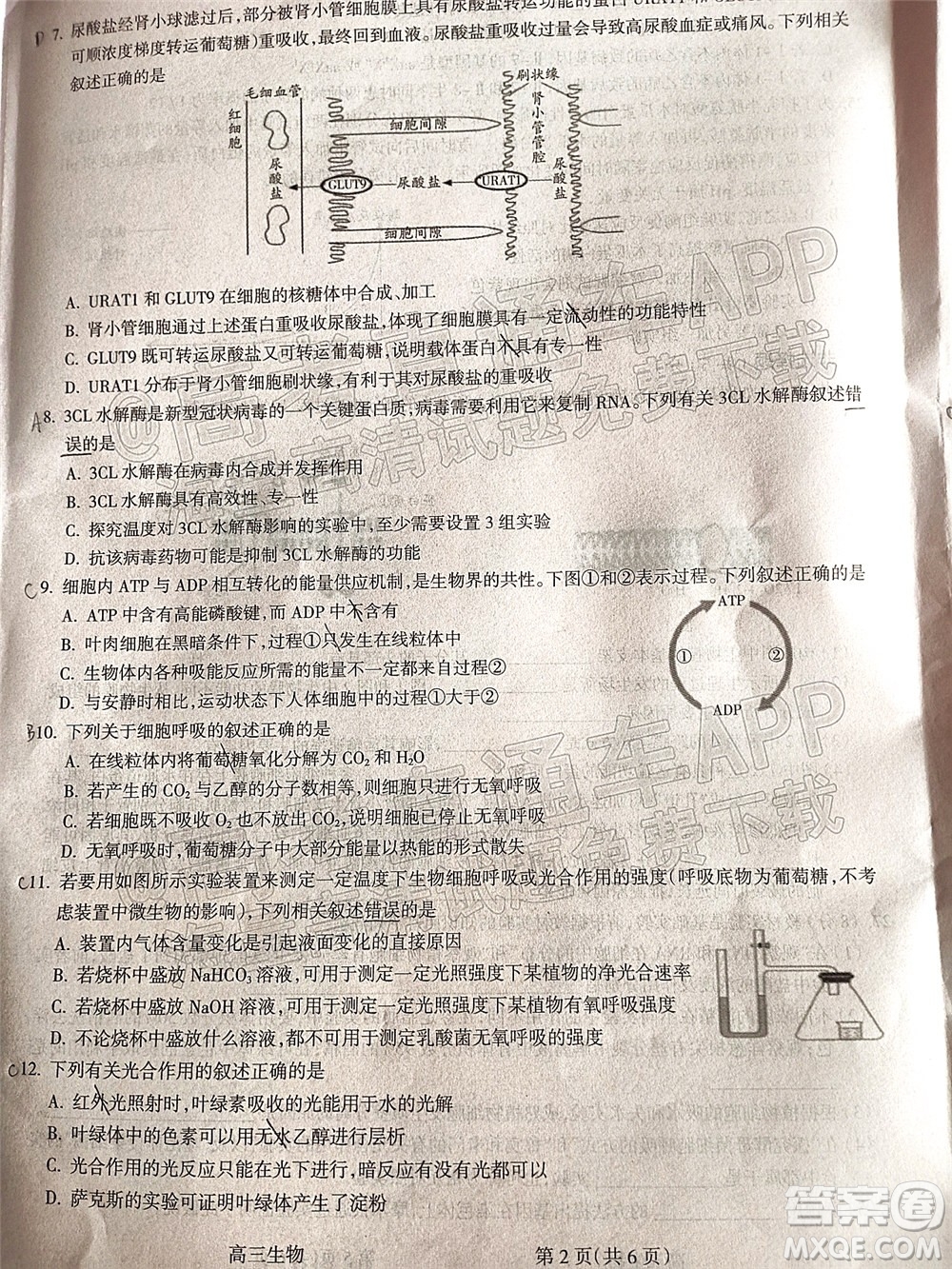 呂梁市2021年11月高三階段性測(cè)試生物試題及答案