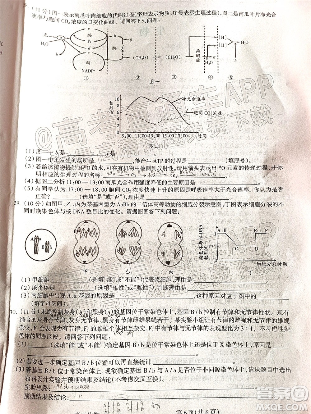 呂梁市2021年11月高三階段性測(cè)試生物試題及答案