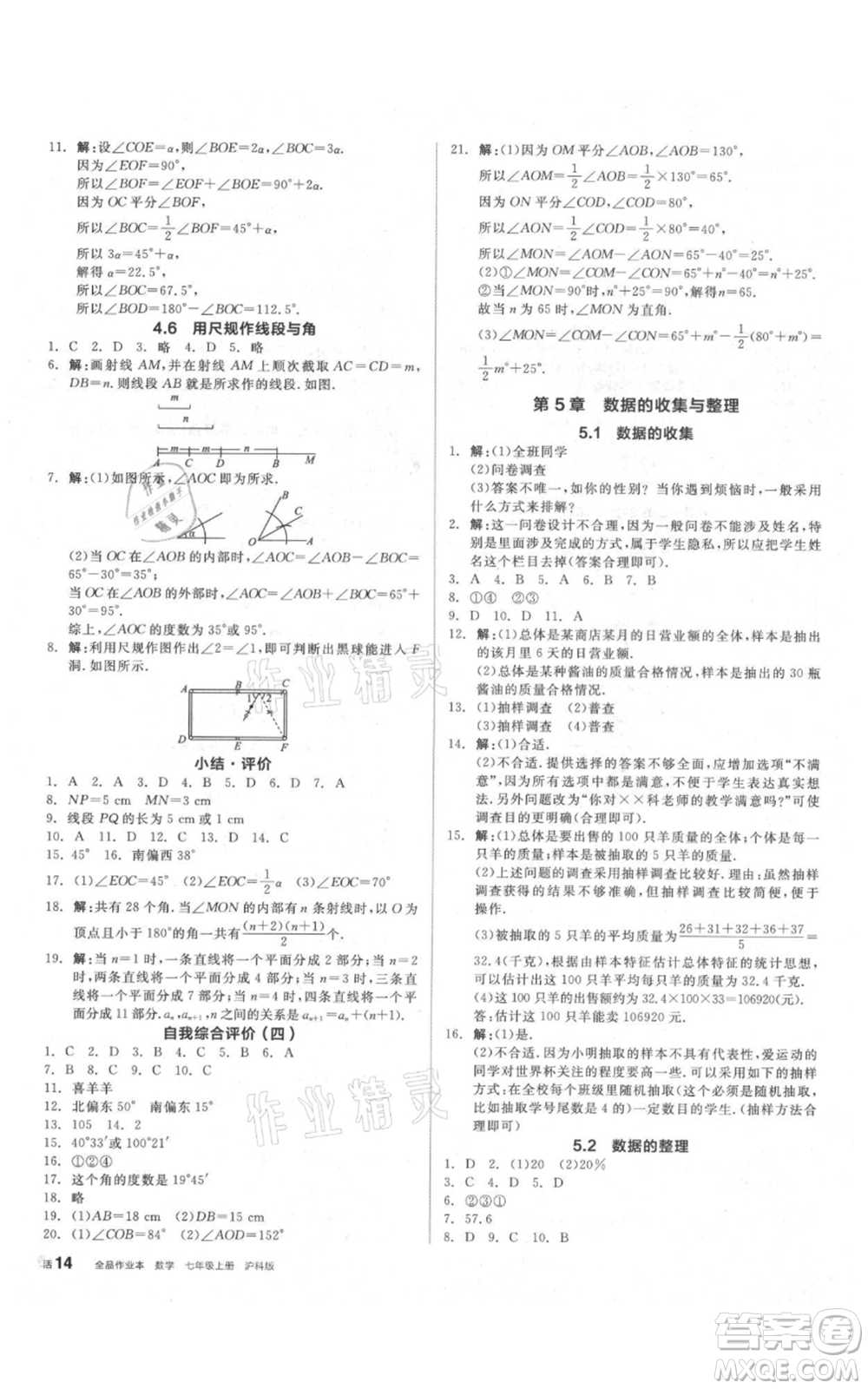 陽光出版社2021全品作業(yè)本七年級上冊數(shù)學滬科版參考答案