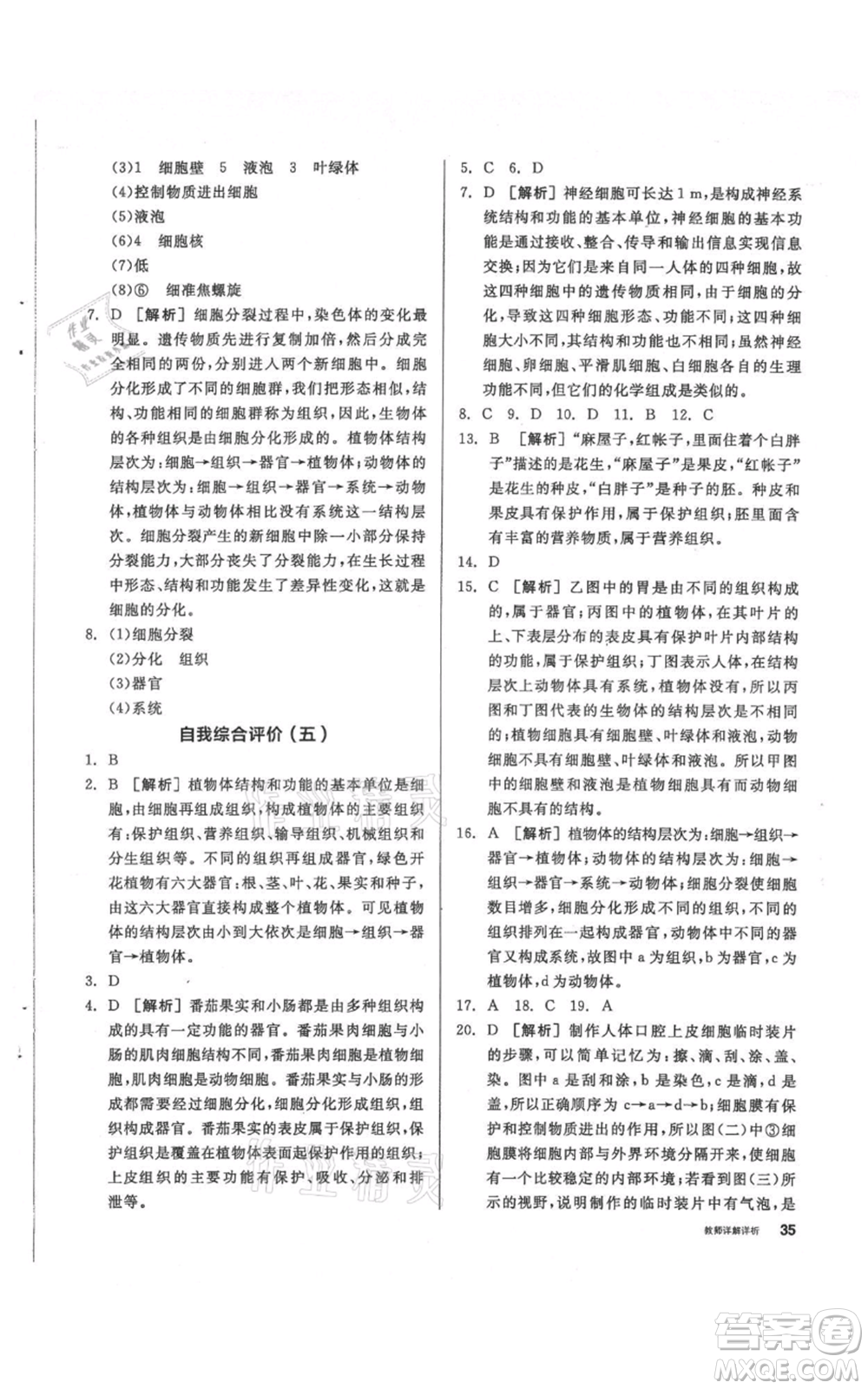陽光出版社2021全品作業(yè)本七年級上冊科學華師大版參考答案