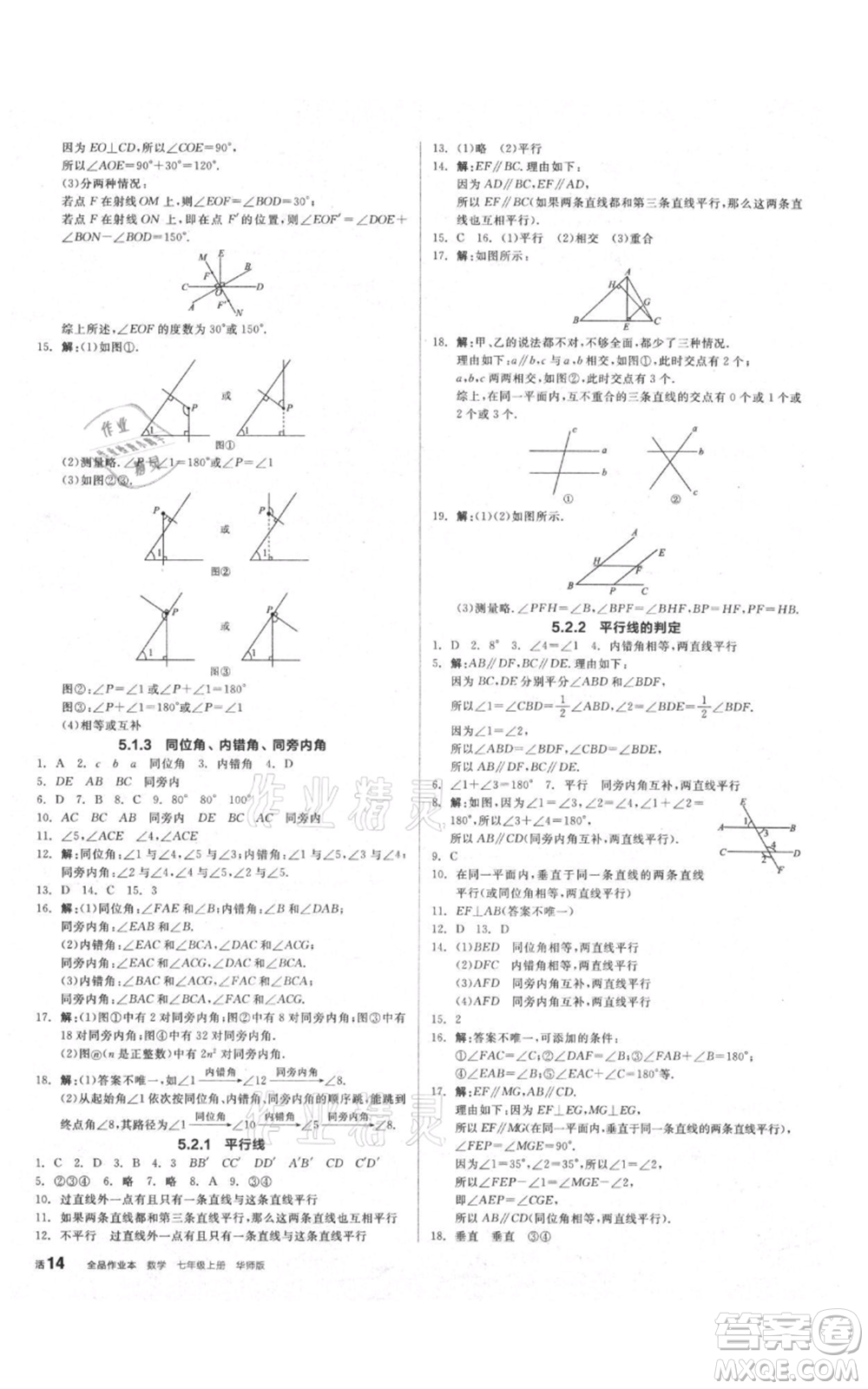 陽(yáng)光出版社2021全品作業(yè)本七年級(jí)上冊(cè)數(shù)學(xué)華師大版參考答案