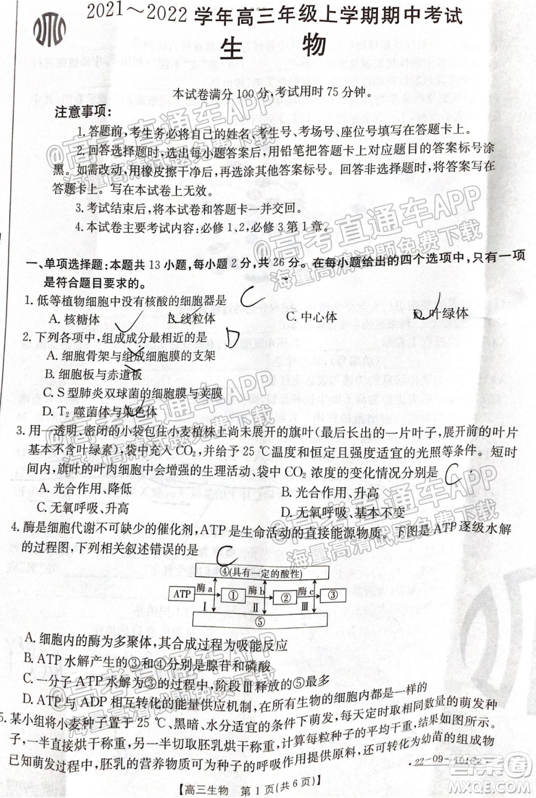 河北2021-2022學(xué)年高三年級上學(xué)期期中考試生物試題及答案