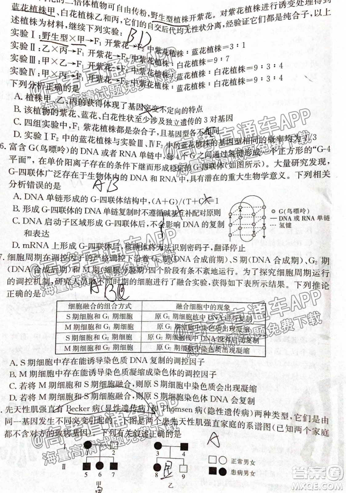 河北2021-2022學(xué)年高三年級上學(xué)期期中考試生物試題及答案