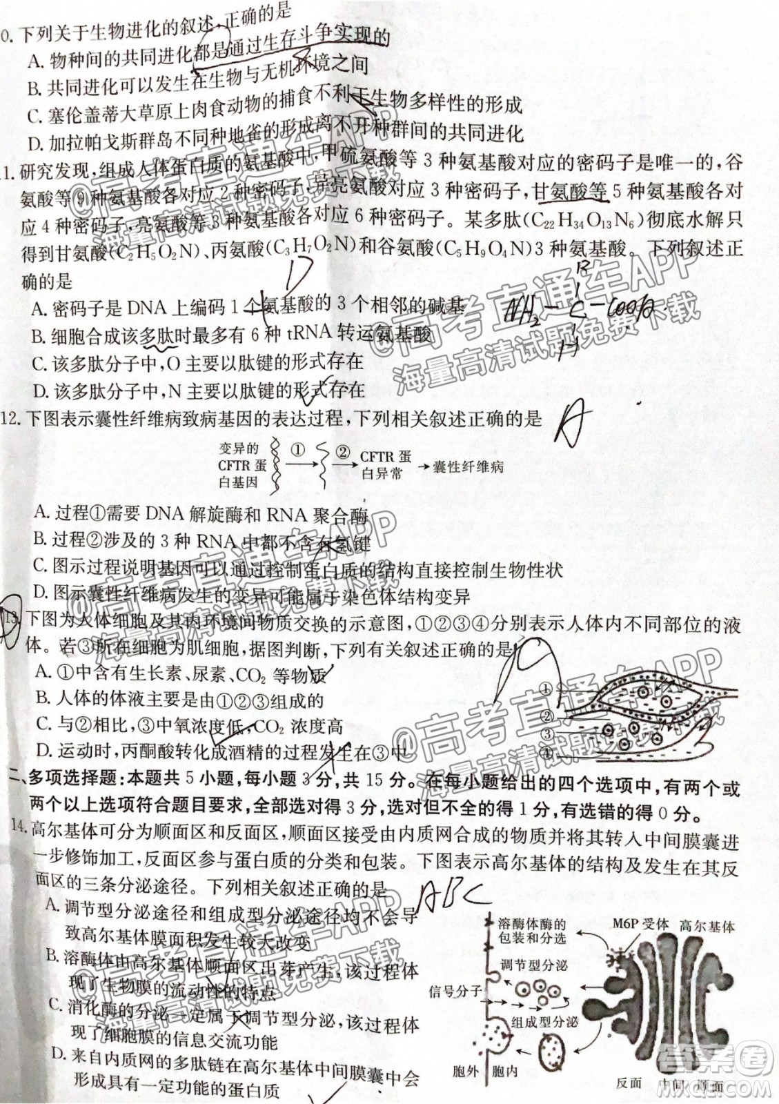 河北2021-2022學(xué)年高三年級上學(xué)期期中考試生物試題及答案