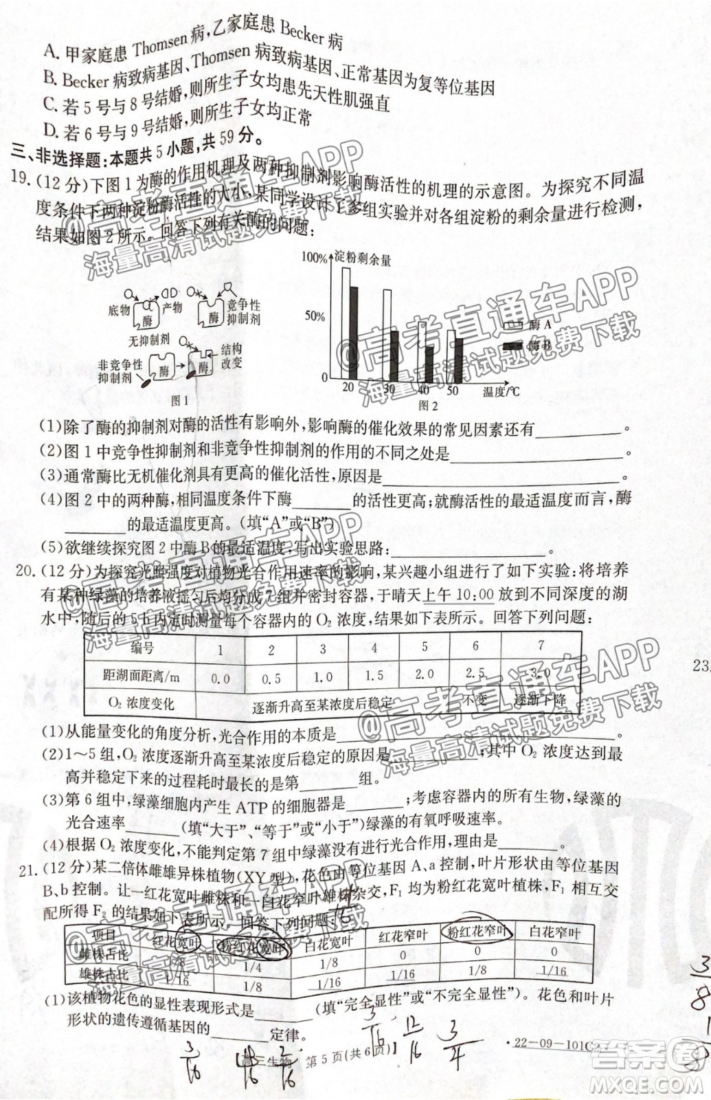 河北2021-2022學(xué)年高三年級上學(xué)期期中考試生物試題及答案