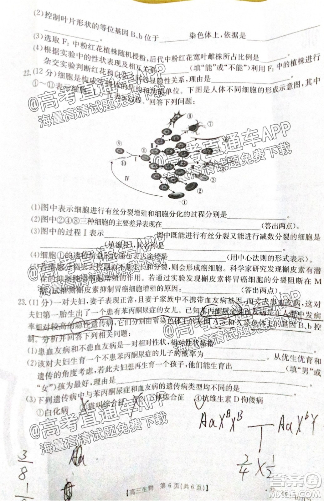 河北2021-2022學(xué)年高三年級上學(xué)期期中考試生物試題及答案