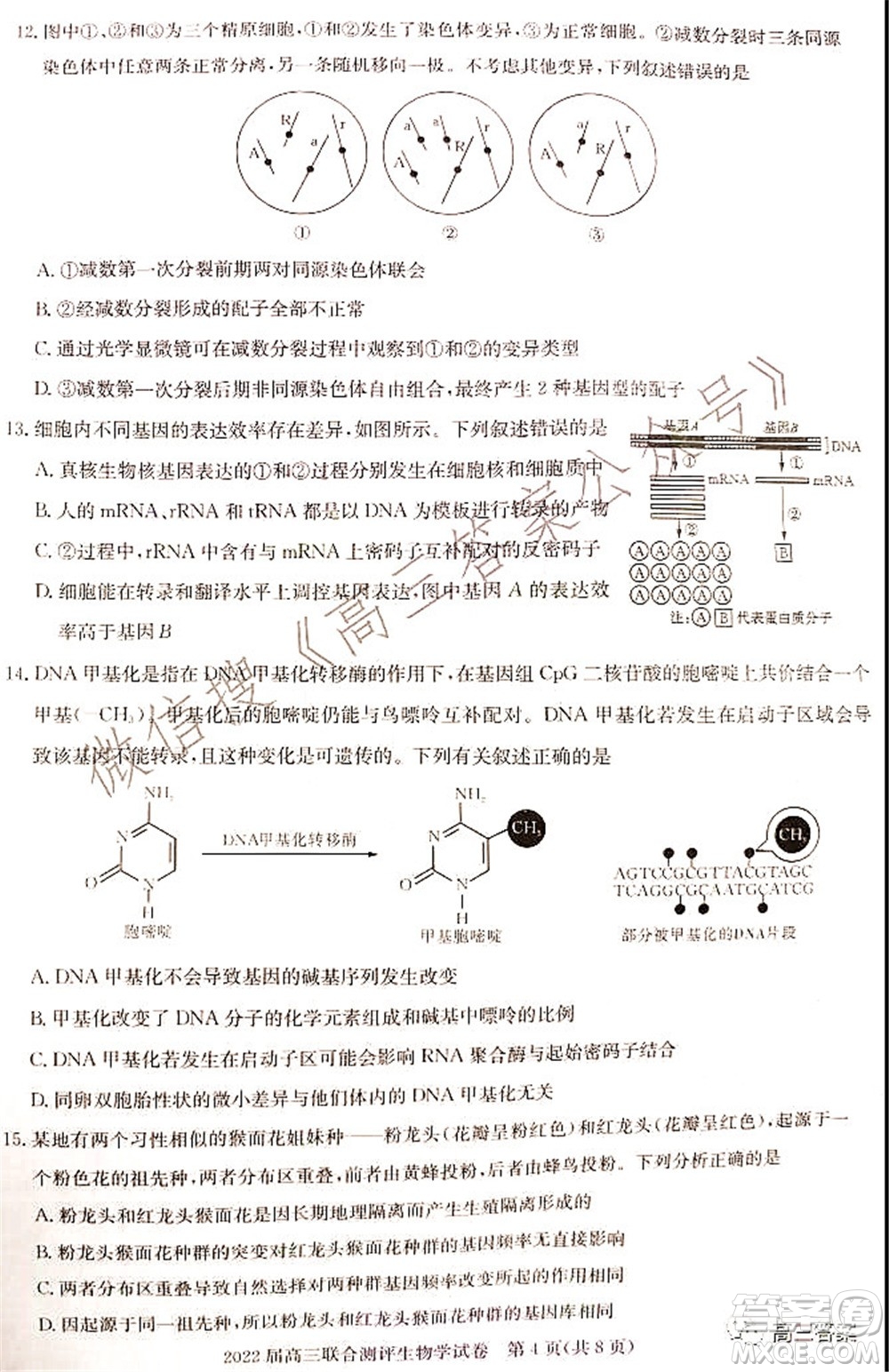 湖北省部分重點中學(xué)2022屆高三第一次聯(lián)考生物試題及答案