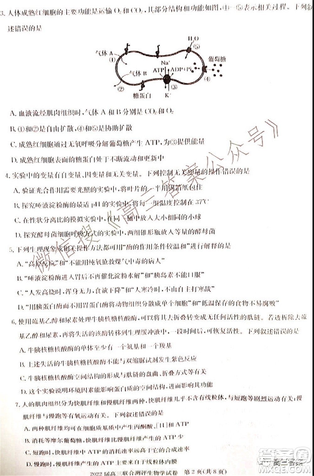 湖北省部分重點中學(xué)2022屆高三第一次聯(lián)考生物試題及答案