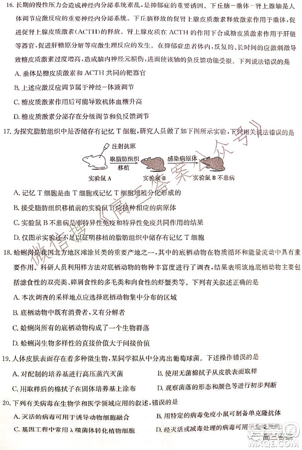 湖北省部分重點中學(xué)2022屆高三第一次聯(lián)考生物試題及答案
