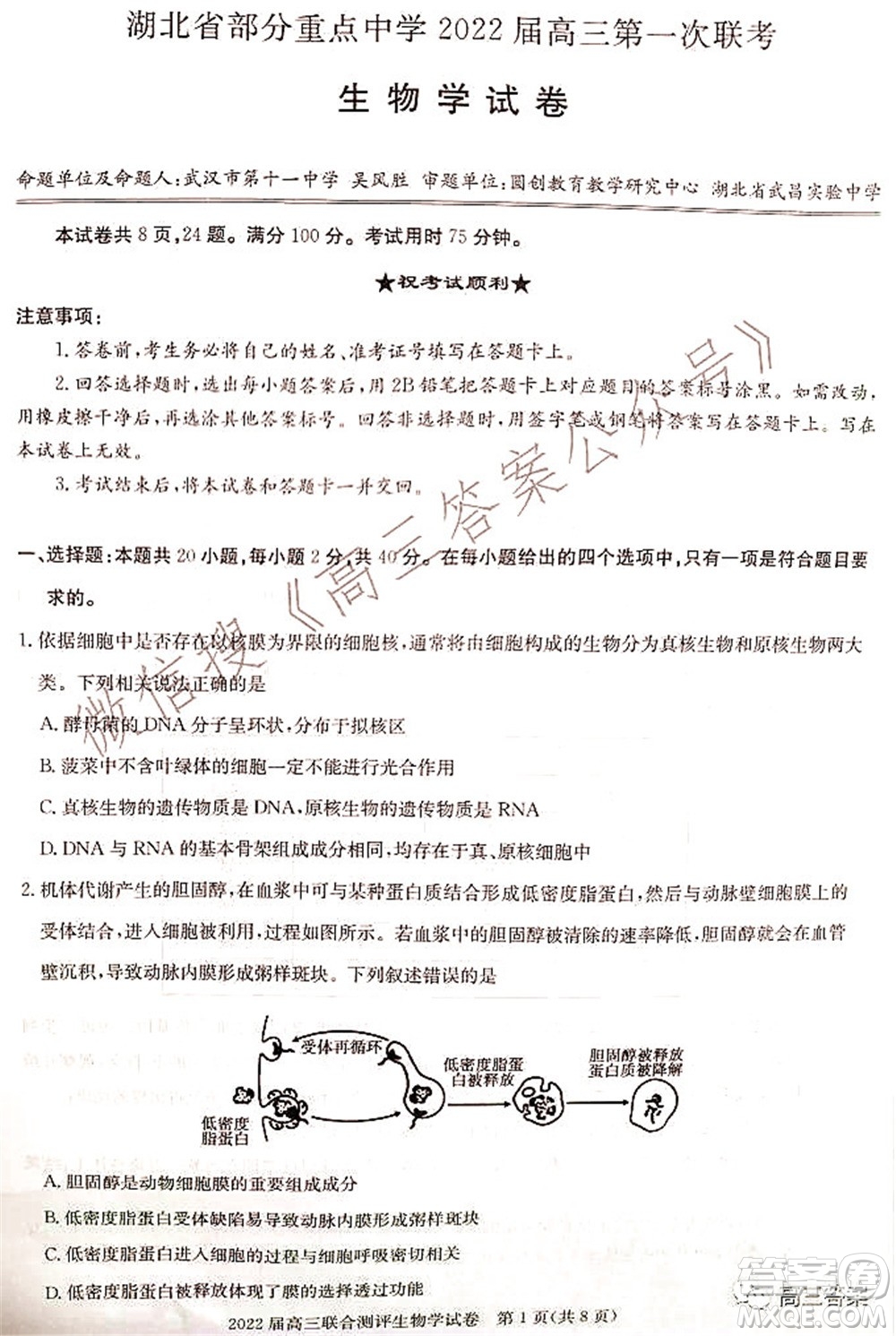 湖北省部分重點中學(xué)2022屆高三第一次聯(lián)考生物試題及答案