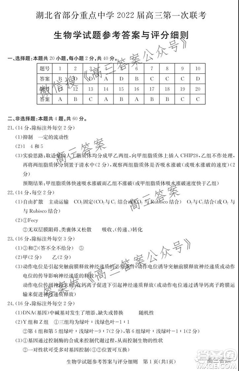 湖北省部分重點中學(xué)2022屆高三第一次聯(lián)考生物試題及答案