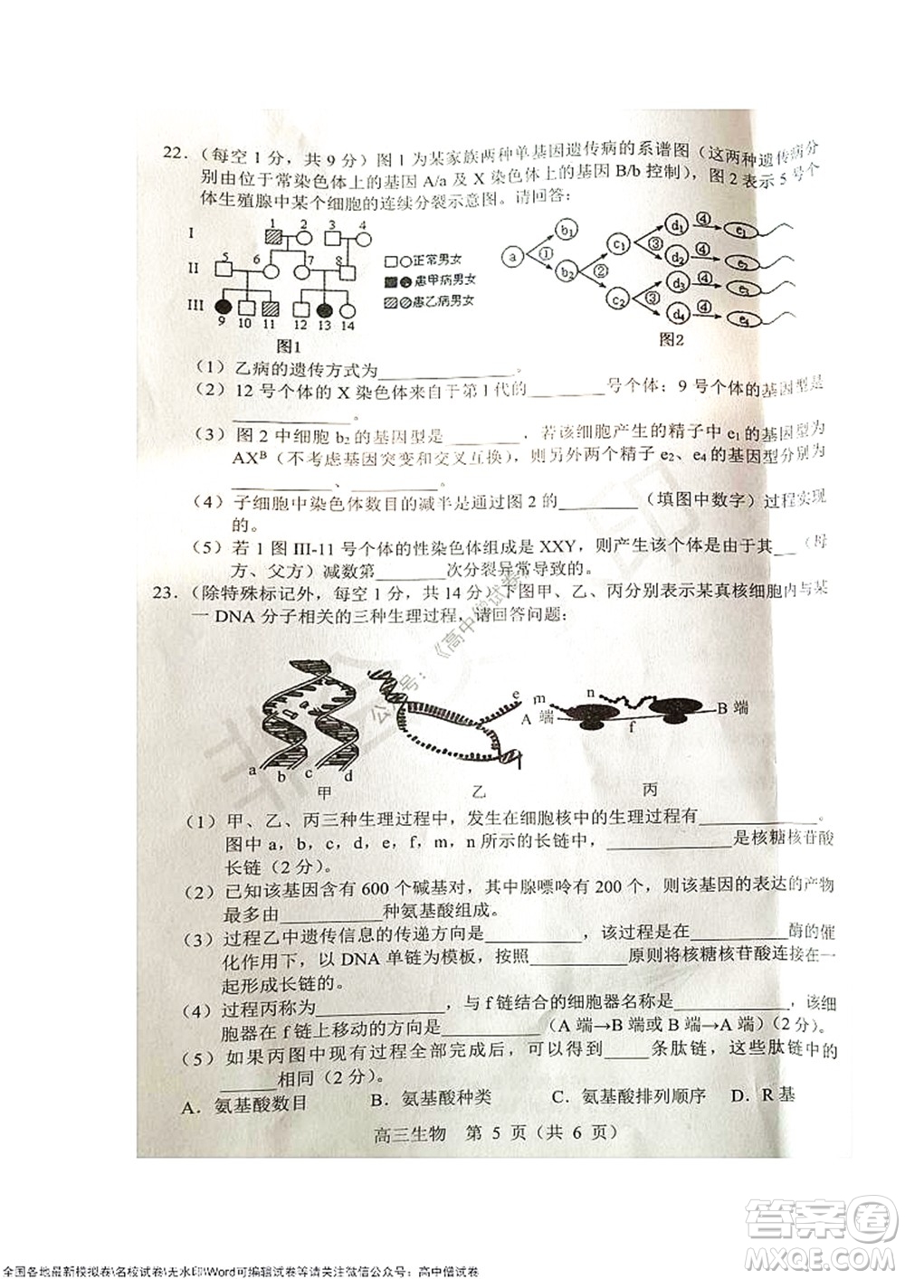 2021-2022學(xué)年度上學(xué)期沈陽市郊聯(lián)體期中考試高三生物試題及答案