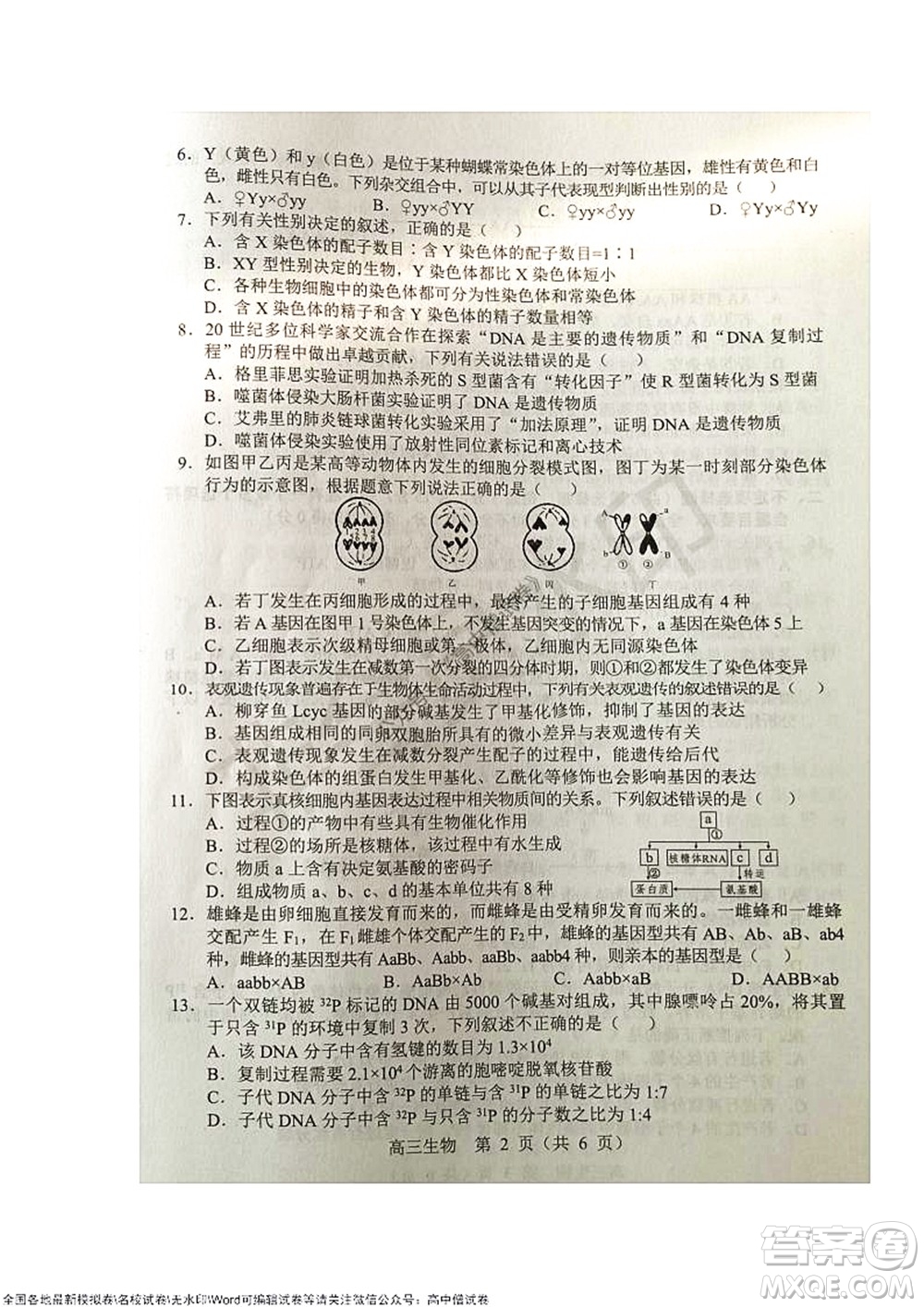 2021-2022學(xué)年度上學(xué)期沈陽市郊聯(lián)體期中考試高三生物試題及答案