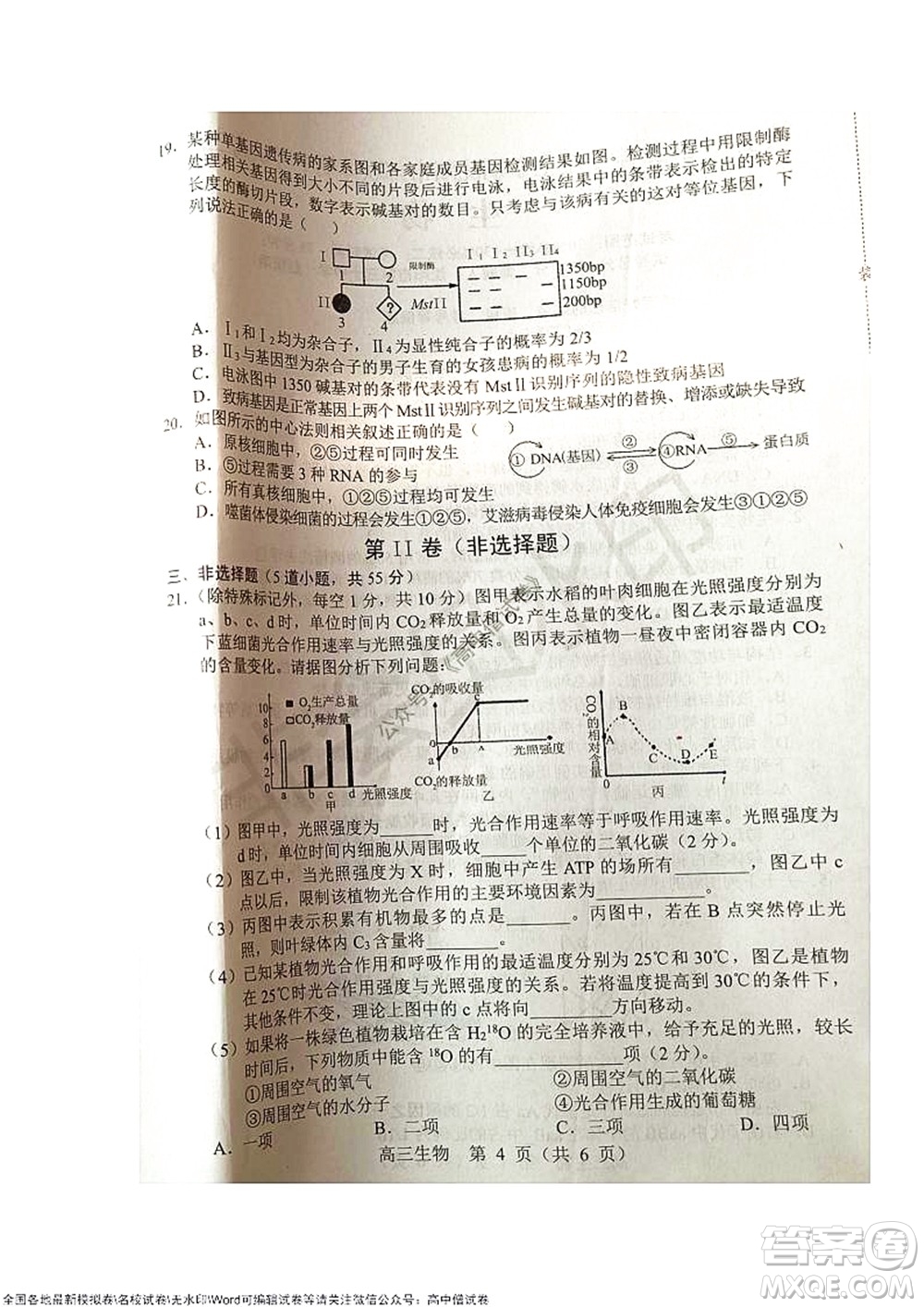 2021-2022學(xué)年度上學(xué)期沈陽市郊聯(lián)體期中考試高三生物試題及答案