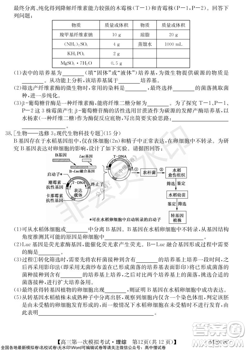 2022屆北海市高三第一次模擬考試?yán)砜凭C合試題及答案